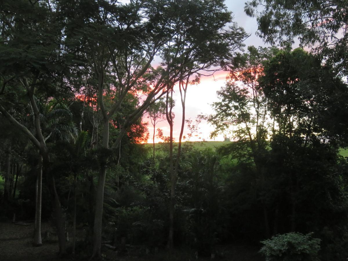 Keillor Lodge Maleny Εξωτερικό φωτογραφία