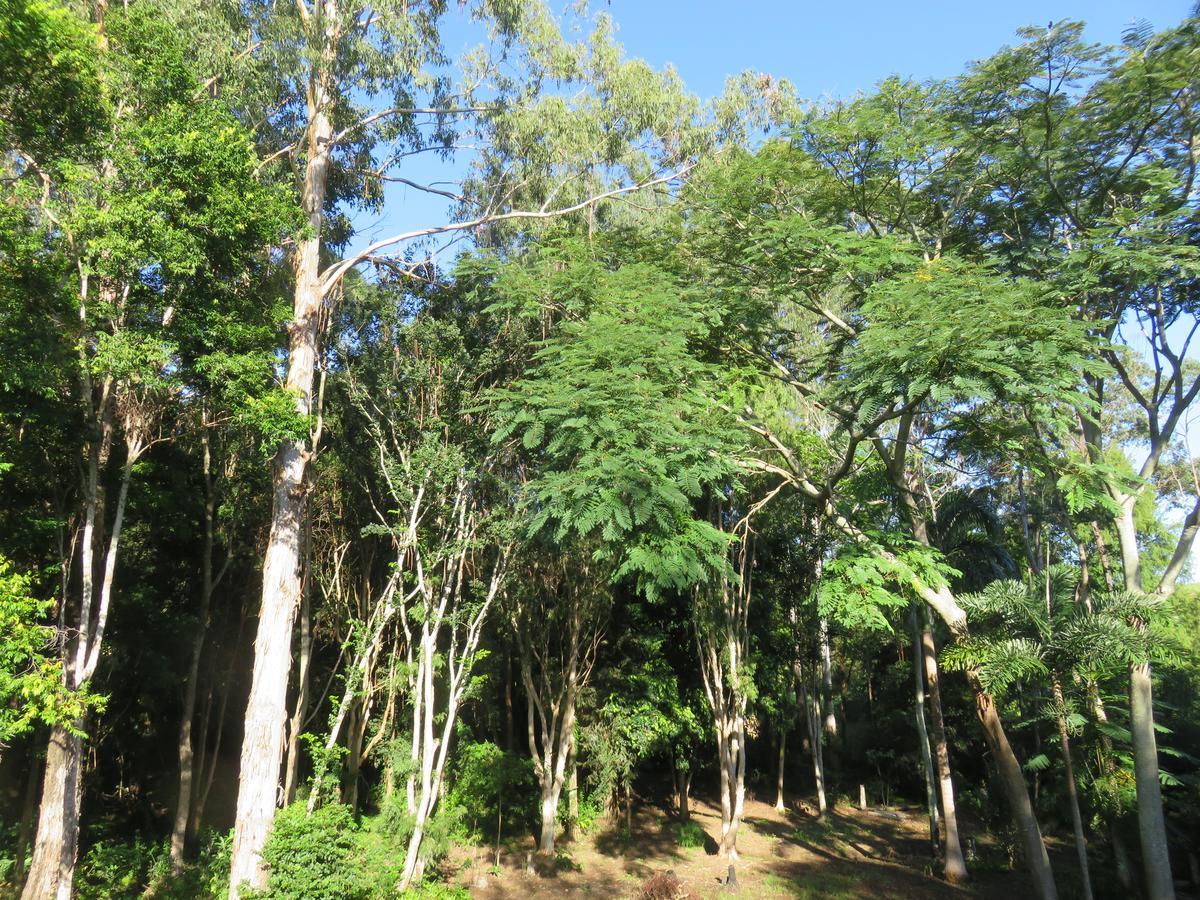 Keillor Lodge Maleny Εξωτερικό φωτογραφία